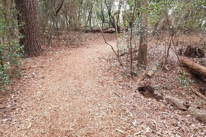 Five Hour Garden Tour - Final Words