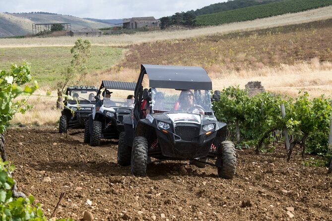 five sense outdoor experience - Itinerary Breakdown: What to Expect at Each Stop