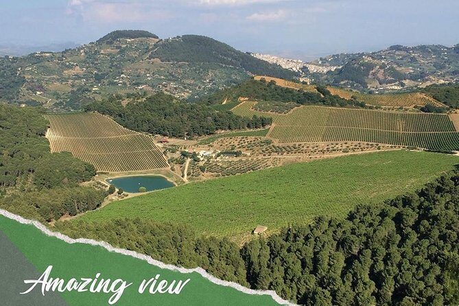 five sense outdoor experience - The Sum Up: Who Will Love This Experience?