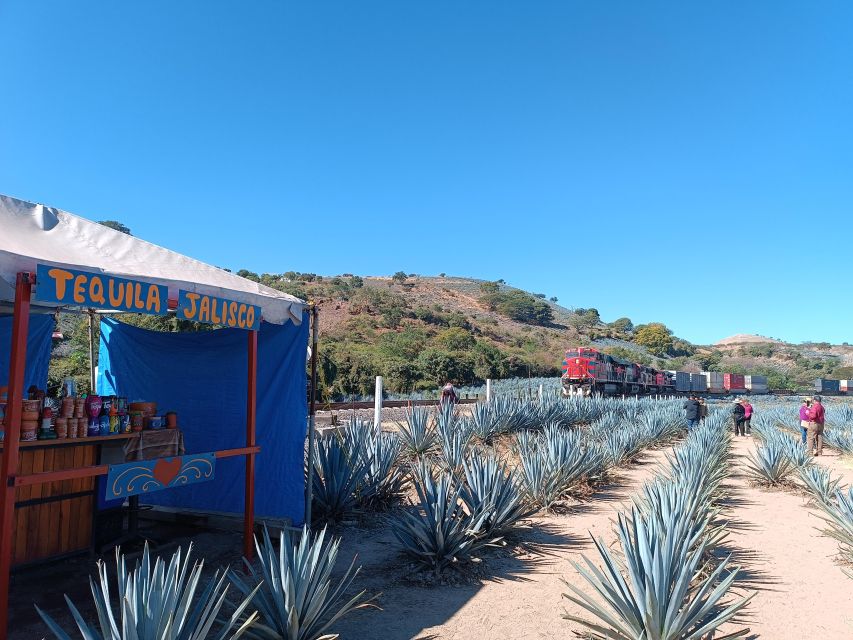 Five-Star Factory: Meet Orendain Tequila. - Factory Tour Highlights