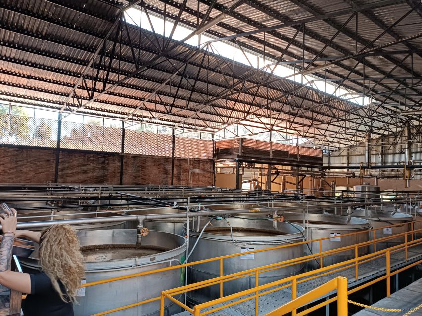 Five-Star Factory: Meet Orendain Tequila. - Booking Details and Pricing