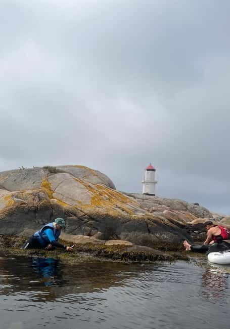 Fjällbacka: Seaweed Picking and SUP Paddling Tour - An In-Depth Look at the Fjällbacka Seaweed and SUP Tour