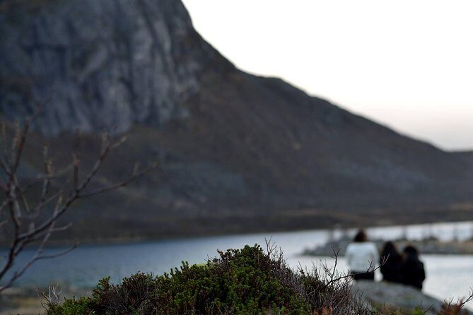 Fjord Expedition: Arctic Adventure Awaits - Practical Details and Logistical Considerations