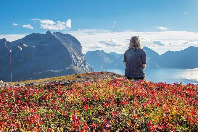 Fjord Expedition: Arctic Adventure Awaits - Final Thoughts