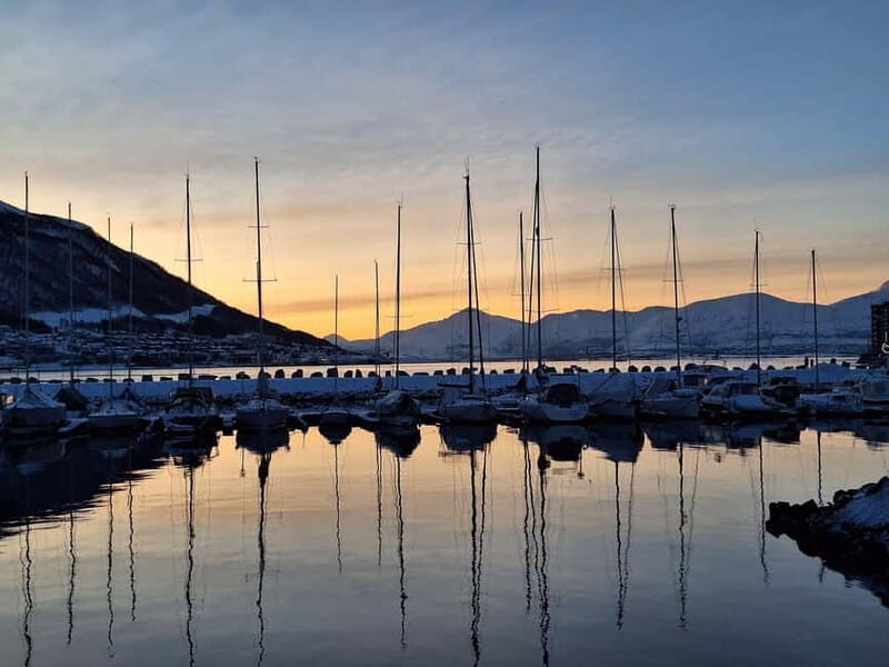 Fjord Tour and Amazing Sights by Minibus - Key Points