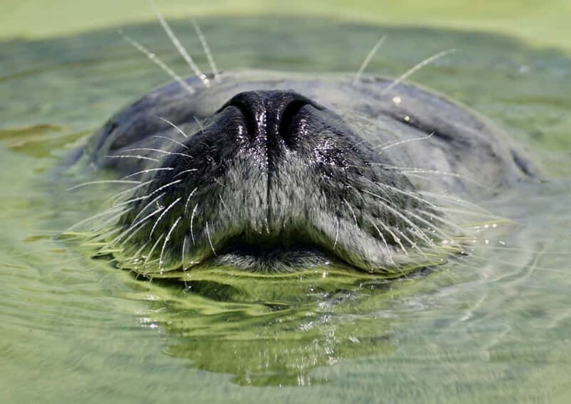 Fjord Tour and Amazing Sights by Minibus - Introduction: What Makes This Tour Stand Out?