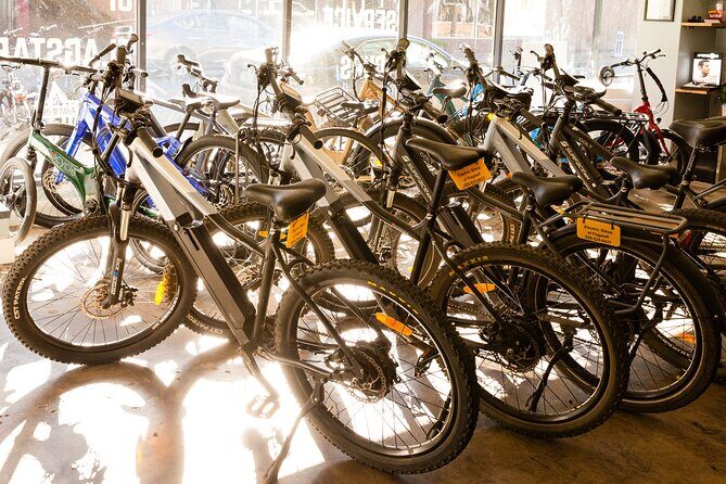 Flagstaff Electric Bike Rental - Why This E-Bike Tour Offers Good Value