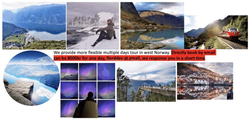 Flåm Flexible Tour with Stegastein, cruise and train include - Introduction: What to Expect from This Norway Fjord Tour
