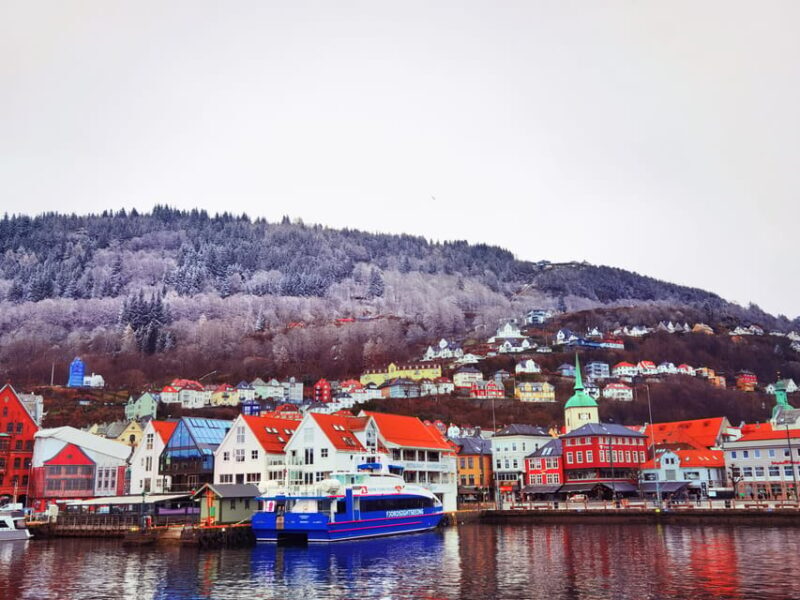 Flåm Flexible Tour with Stegastein, cruise and train include - Practical Details: Transportation and Logistics