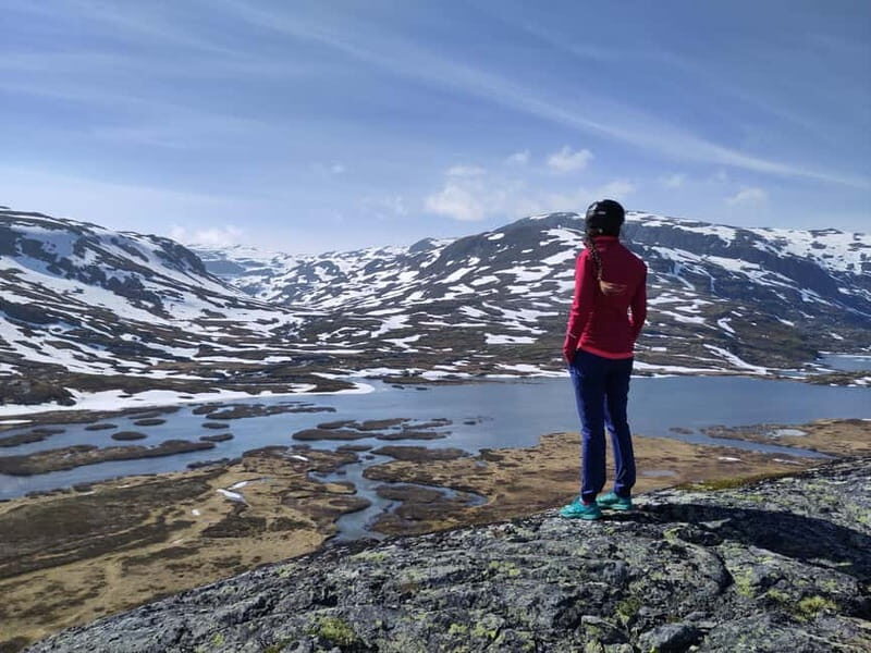 Flam-Myrdal: Guided e-bike tour on the famous Rallarvegen. - Exploring the Rallarvegen E-bike Tour