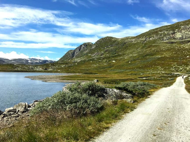 Flam-Myrdal: Guided e-bike tour on the famous Rallarvegen. - A Closer Look at the Itinerary