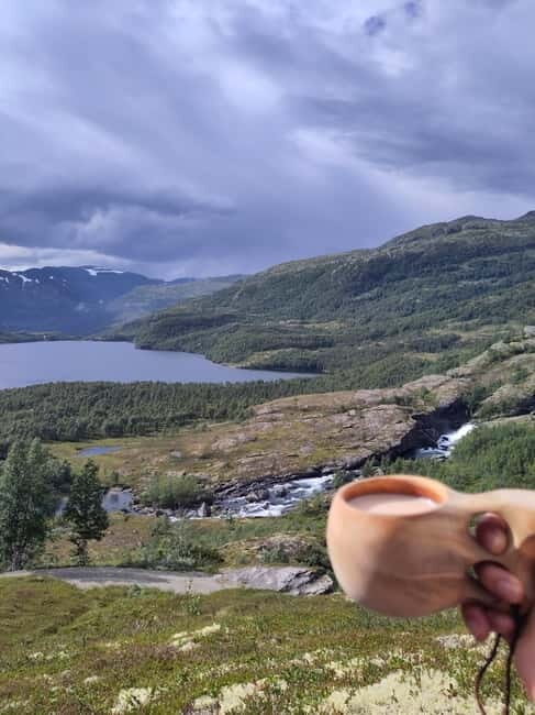 Flam-Myrdal: Guided e-bike tour on the famous Rallarvegen. - Who Should Consider This Tour?