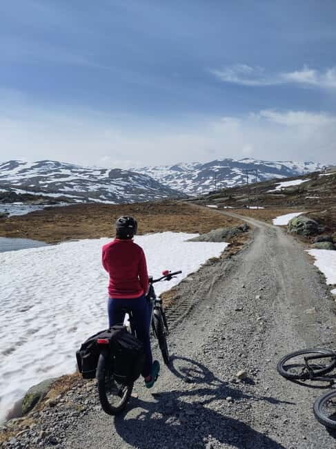 Flam-Myrdal: Guided e-bike tour on the famous Rallarvegen. - Final Thoughts