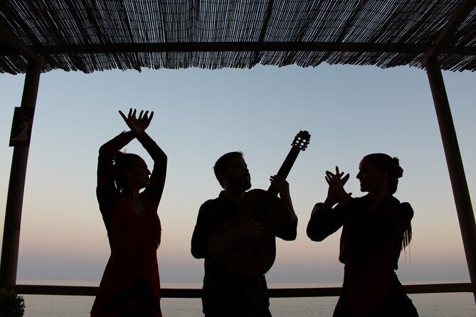 Flamenco and Grill evening on the banks of Lake Guadalmina - The Experience in Detail