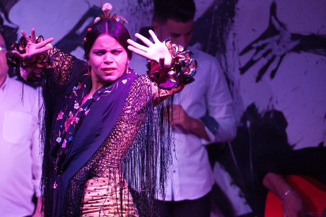 Flamenco Rooster Show Admission Ticket - What to Expect at the Show