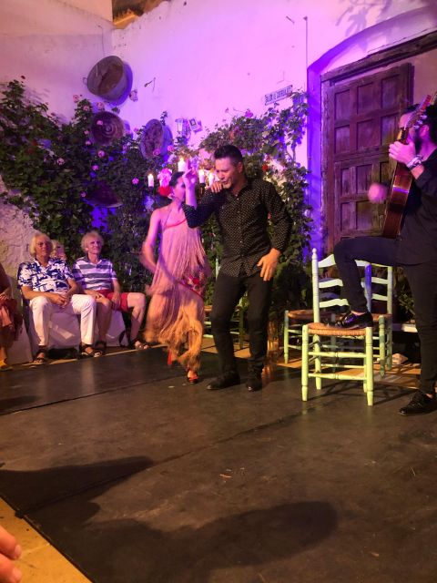 Flamenco Tablao La Puerta Ancha Entrance Ticket - Booking Details