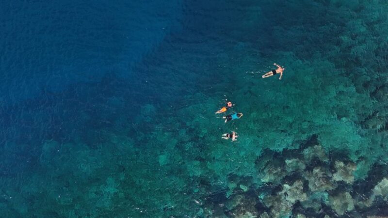 Flamingo Beach: Guided SUP and Snorkeling Experience - Pickup and Drop-off
