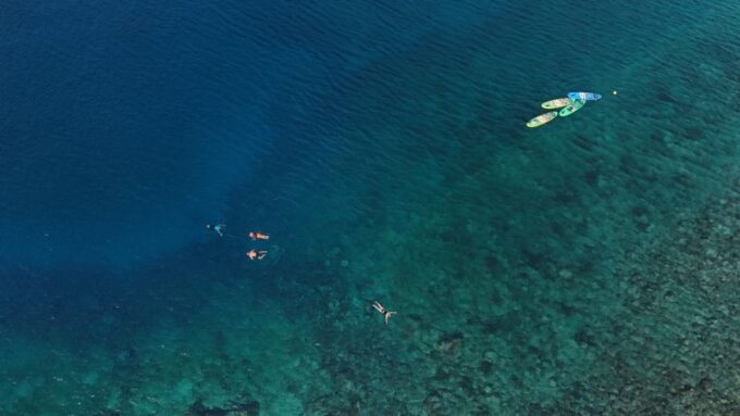 Flamingo Beach: Guided SUP and Snorkeling Experience - Customer Reviews