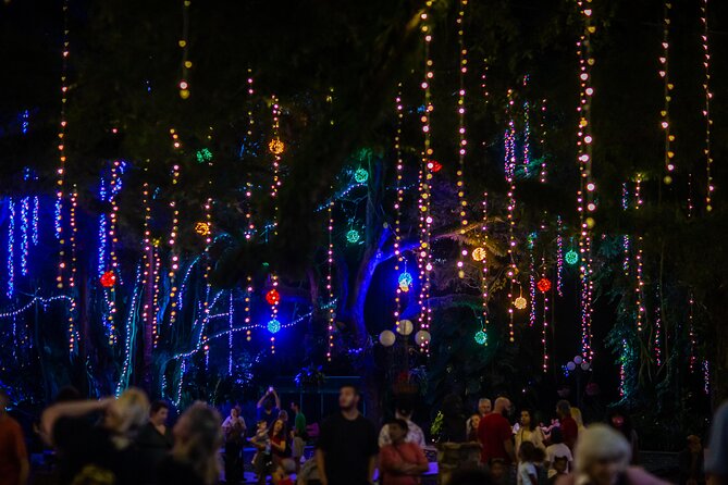 Flamingo Gardens Garden of Lights - Good To Know