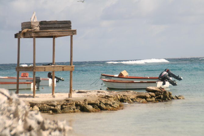 Flamingo & Mangrove Trip with Local Guide - Key Points