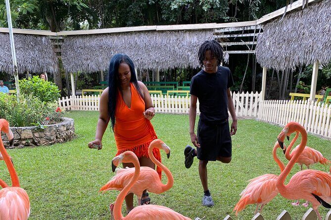 Flamingo March & Pirates Adventure Tour Nassau - Why This Tour Offers Good Value