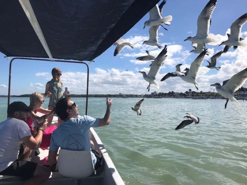 flamingo tour in Rio Lagartos, Yucatan 3 hours - What Makes This Tour Special?