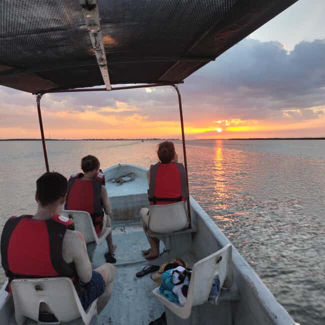 Flamingo tour Rio Lagartos, Yucatan 2 hours - Mangrove Exploration and Bird Watching