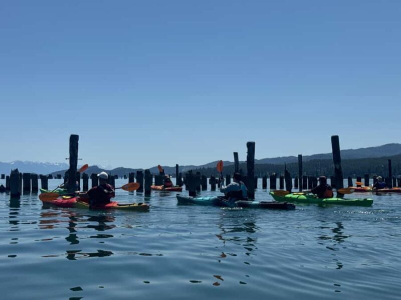 Flathead Lake: Somers Bay Kayak Tour - What Should You Expect During the Tour?