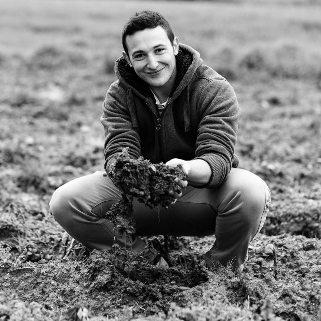 Flavors and Wine: Exclusive Tasting Tour Near Montepulciano - Local Culinary Delights