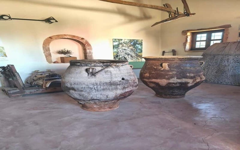 Flavors of Crete from Chania: Wine & Olive Oil Tasting Tour - In The Sum Up