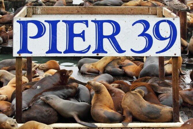 Flavors of Fisherman's Wharf: A Self Guided Audio Tour - A Complete Look at the "Flavors of Fishermans Wharf" Tour