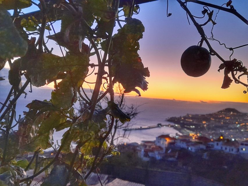 Flavors of Madeira: Wine & Dine Local Farmer Food - Inclusions and What to Expect