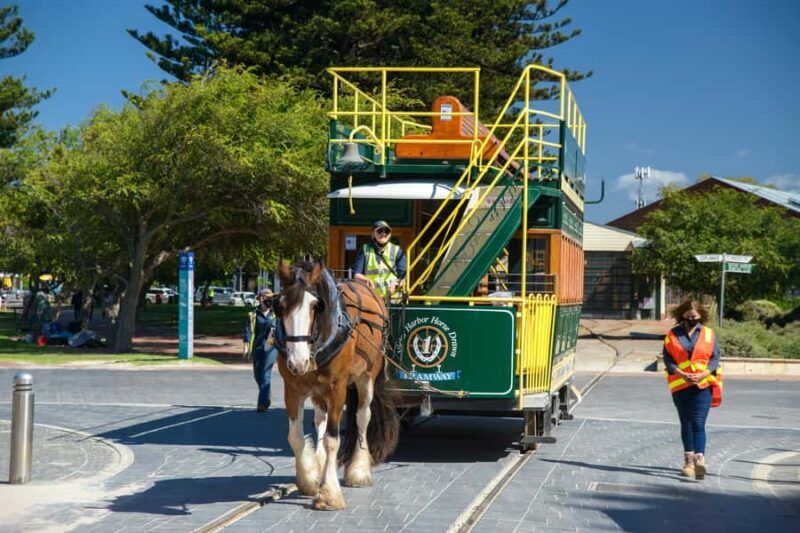 Fleurieu Peninsula: A Memorable Journey - Exploring the Fleurieu Peninsula: What You Can Expect