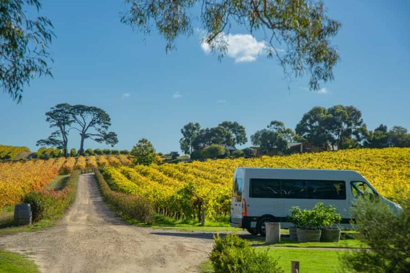 Fleurieu Peninsular: McLaren Vale Winery Experience - Who Should Consider This Tour?