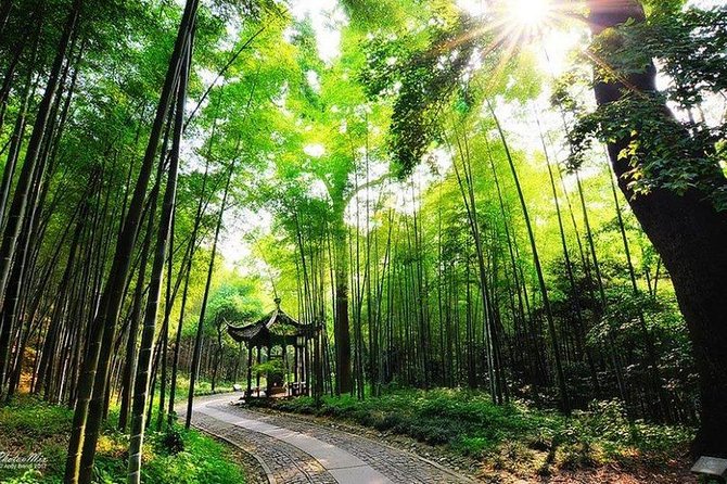 Flexible Hangzhou Private Day Tour With Lunch - Inclusions and Exclusions