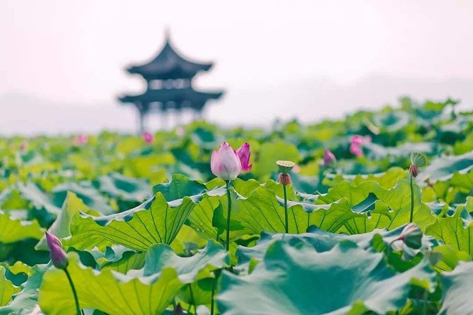 Flexible Hangzhou Private Tour From Shanghai by Bullet Train - Transportation and Inclusions