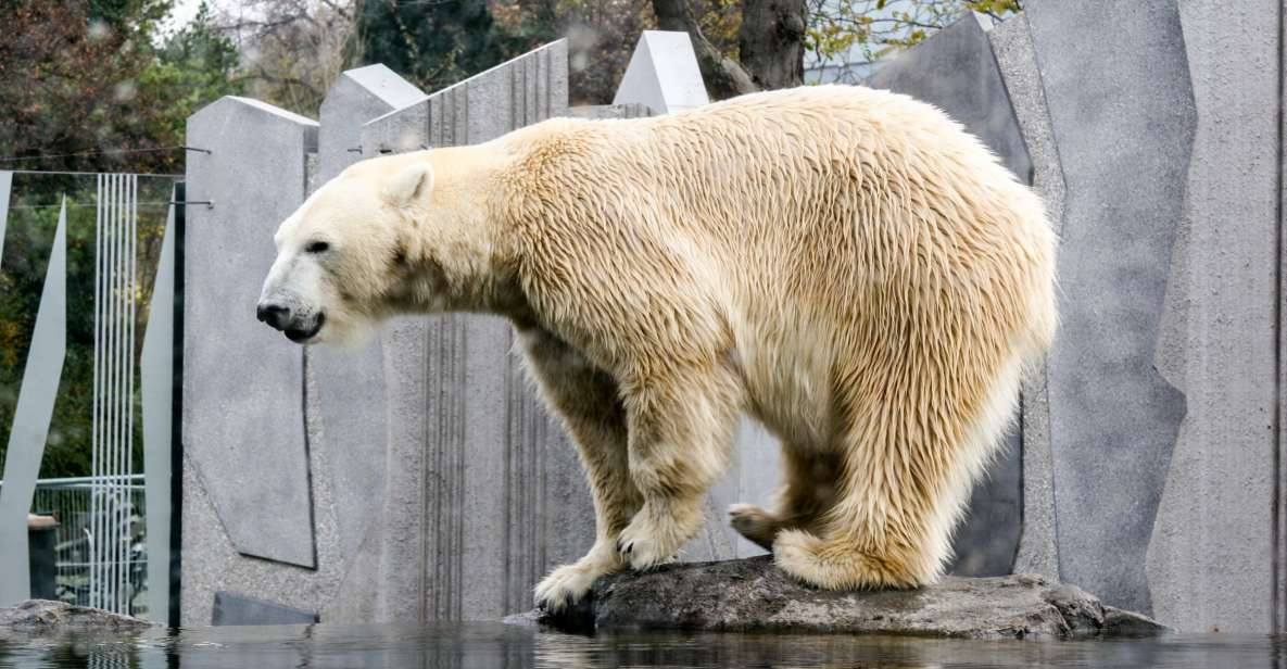 Flexible Private Transport to Schönbrunn Zoo Vienna - An Introduction to a Hassle-Free Zoo Day
