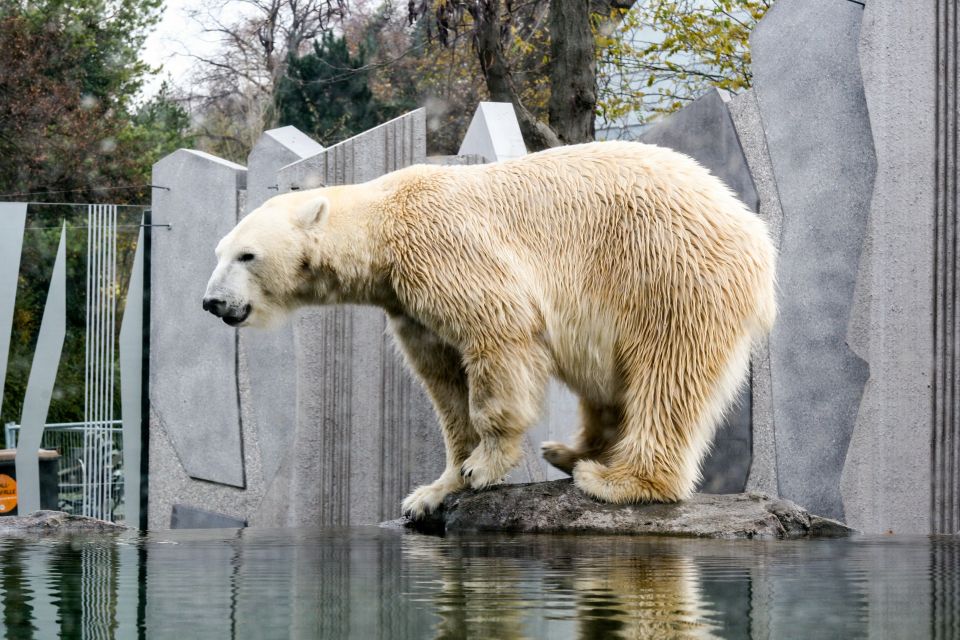 Flexible Private Transport to Schönbrunn Zoo Vienna - Who Will Get the Most Out of This Service?