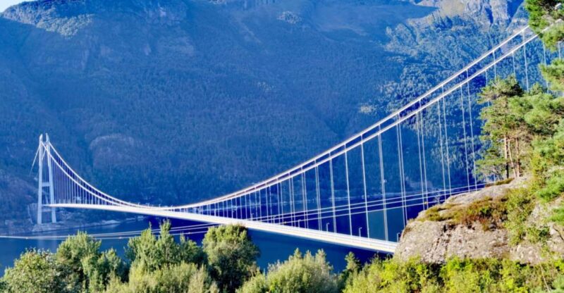 Flexible Tour to Hardangerfjord Vøringsfossen or Glacier - Transportation Options