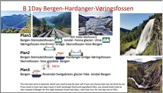 Flexible Tour to Hardangerfjord Vøringsfossen or Glacier - Tips for Your Tour