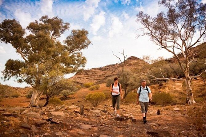 Flinders Ranges 3-Day Small Group 4WD Eco Tour from Adelaide - The Itinerary: A Day-by-Day Breakdown
