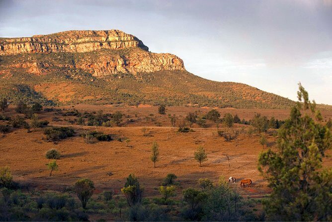 Flinders Ranges 3-Day Small Group 4WD Eco Tour from Adelaide - The Experience in Perspective