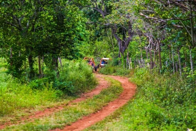 Flintstones Buggy, Cave and Adventure in Bavaro - Final Thoughts