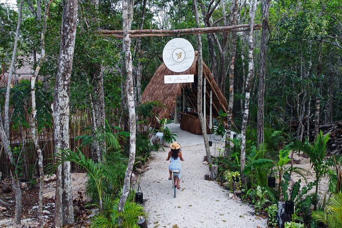 Floating Breakfast in the Yellow Nest (Near Dos Ojos Cenote) - Special Features and Highlights