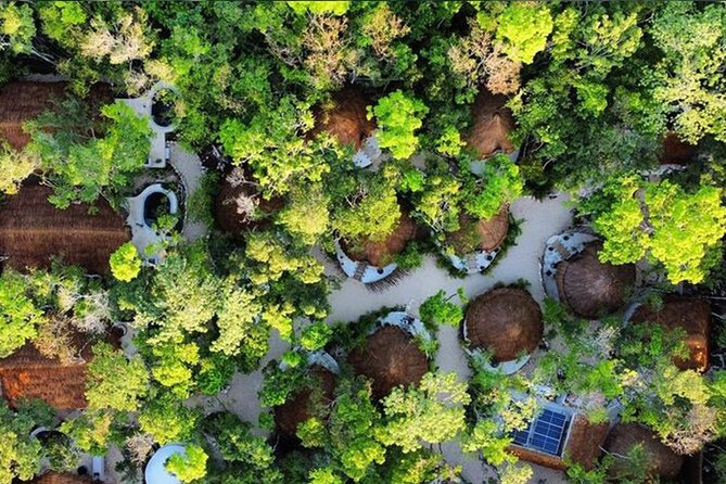 Floating Breakfast in the Yellow Nest (Near Dos Ojos Cenote) - Unique Accommodations and Facilities