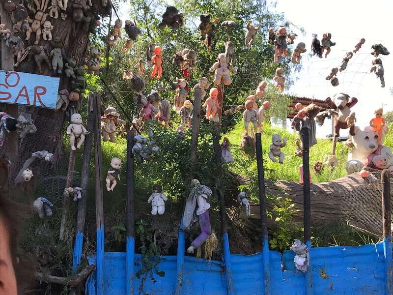"Floating Party in Xochimilco: Canals, Tequila, and Tradition" - Experience Overview: Canals, Culture, and a Good Time