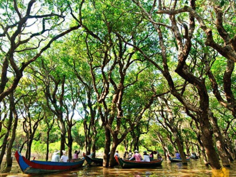 Floating Village-Mangroves Forest Tonle Sap Lake Boat Tour - The Sum Up