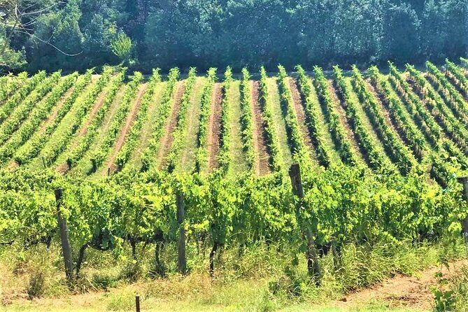 Florence and Pisa: Round Trip Tour from La Spezia Cruises - Frequently Asked Questions