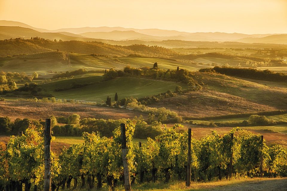 Florence/Badesse: Tuscany Group Vespa Tour With Wine Tasting - Frequently Asked Questions