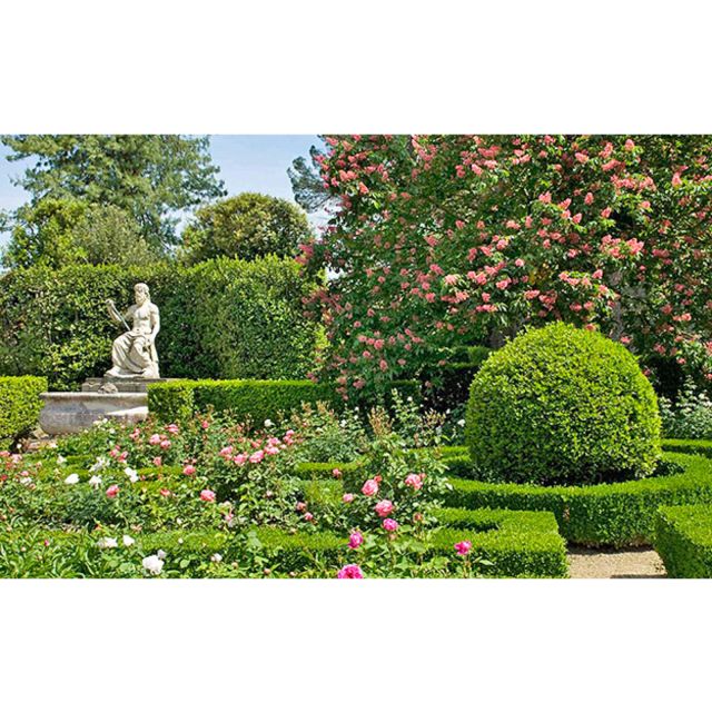Florence: Boboli Garden Guided Tour - Overview of the Boboli Gardens